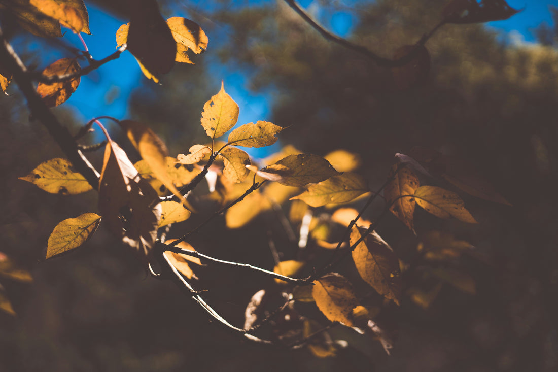 Who is Psychotherapy For?