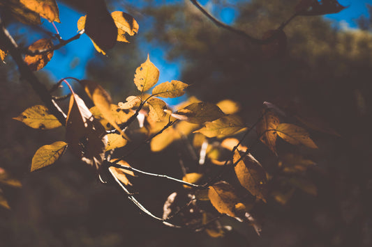 Who is Psychotherapy For?