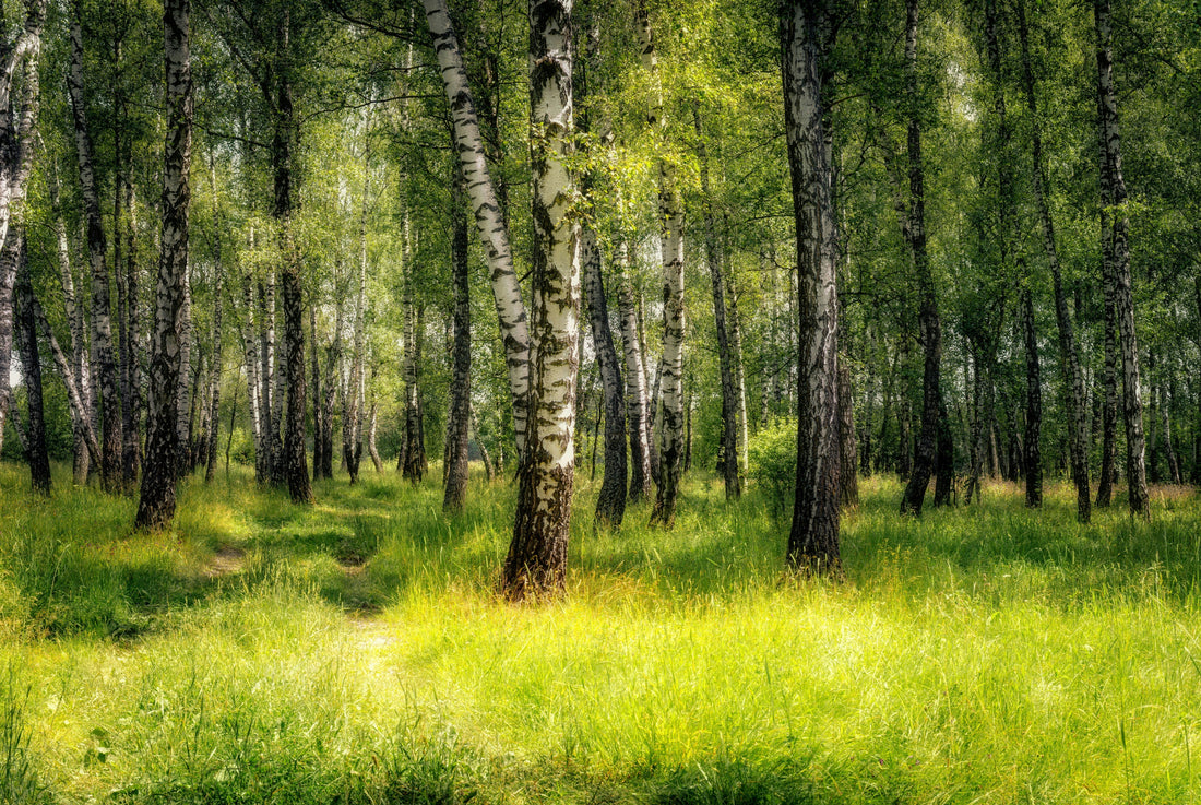 Signs of Anxiety You Might Be Ignoring—and How to Heal from the Inside Out