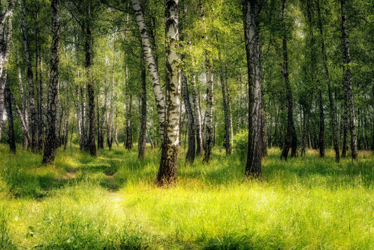 Signs of Anxiety You Might Be Ignoring—and How to Heal from the Inside Out