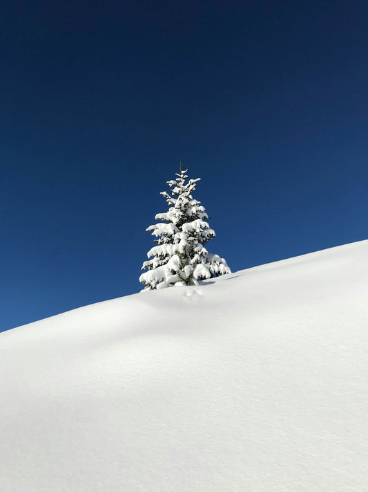 The Role of Emotional Intelligence in Relationships: Understanding Your Nervous System Responses