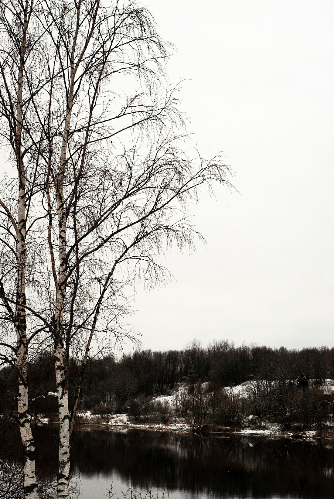 Boundaries & Attachment: How Our Early Patterns Shape Our Limits