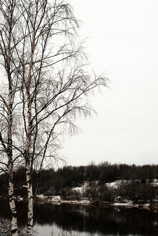 Boundaries & Attachment: How Our Early Patterns Shape Our Limits