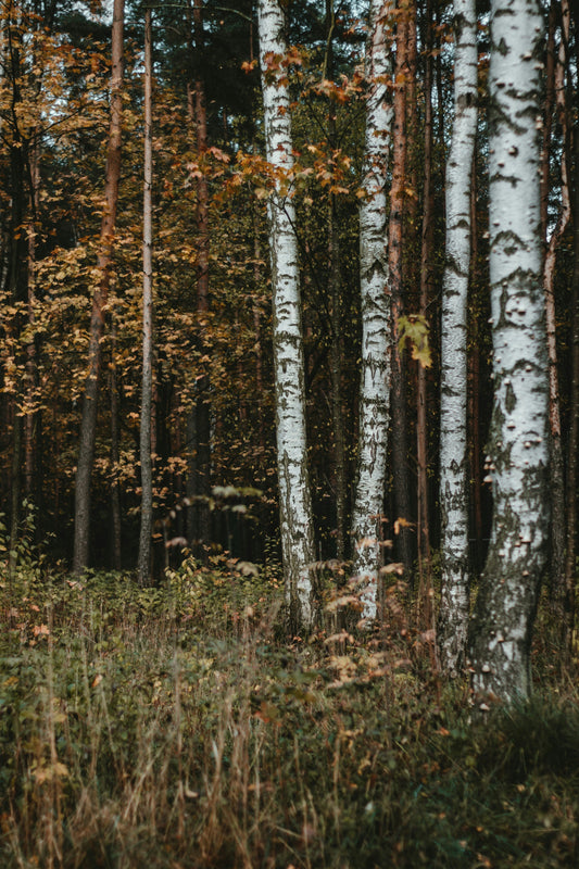 Emotional Literacy — Naming What You Feel Without Judgment